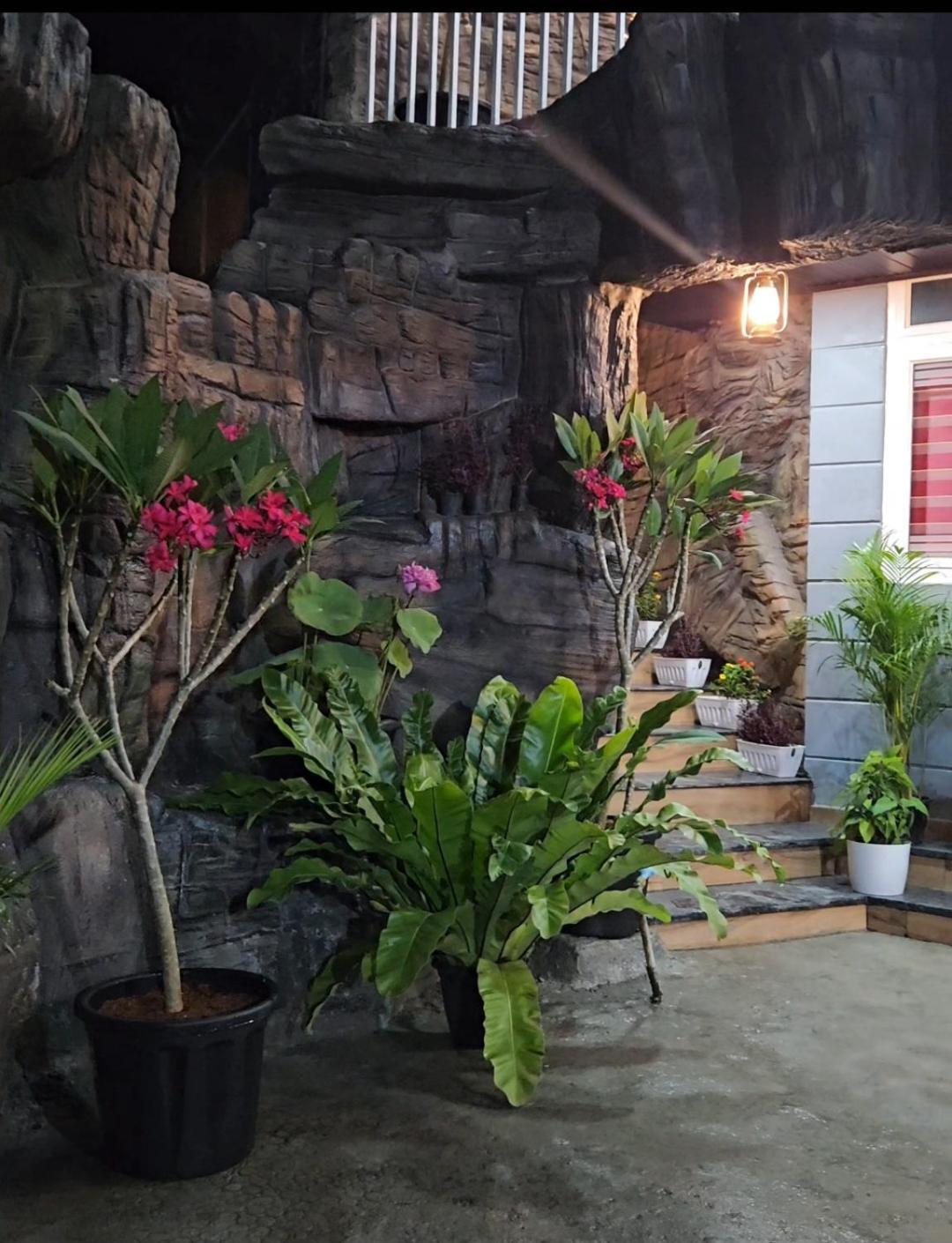 S & B Dreams House Διαμέρισμα Munnar Εξωτερικό φωτογραφία